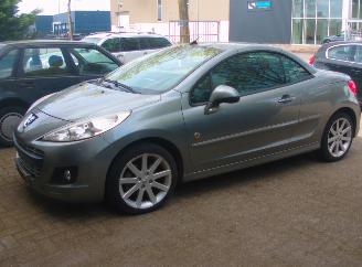  Peugeot 207 cc roland garros 2011/6