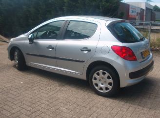 Peugeot 207  picture 4