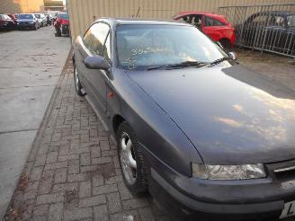 Opel Calibra 2.5 v6 picture 3