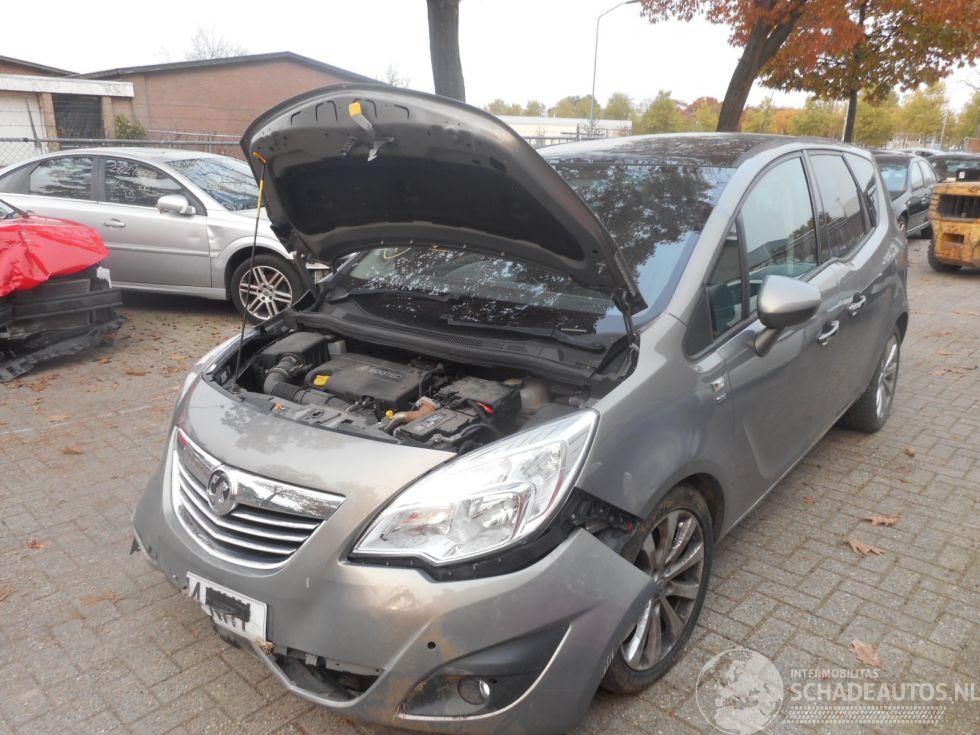 Opel Meriva b