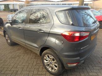 Ford EcoSport  picture 5