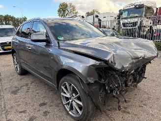 Audi Q5 8RB picture 2
