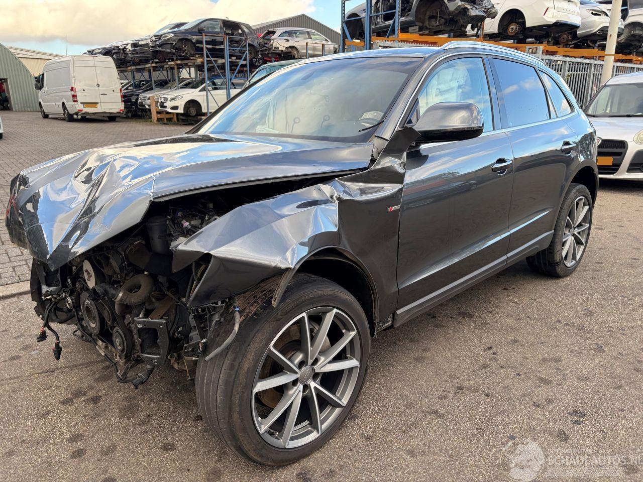 Audi Q5 8RB