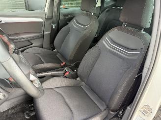 Seat Ibiza FR 1.0 TSI 116PK DSG7 RED BULL ED. Powerparts! picture 18