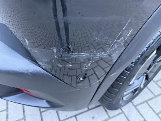 Peugeot 2008 NEW MOD. 1.2 PureTech 130 EAT8 Aut. Allure picture 34