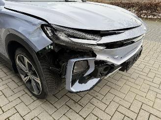 MG Marvel R Performance 70kWh AWD 289PK Aut. PANO VOL! picture 38