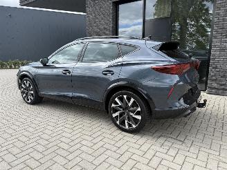Cupra Formentor VZ NEW MOD! 2.0 TSI 4Drive 333PK DSG7 picture 15