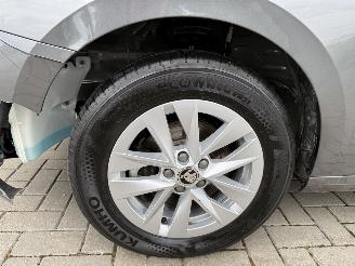 Skoda Fabia NEW! 1.0 TSI 115PK DSG7 Business Edition picture 33