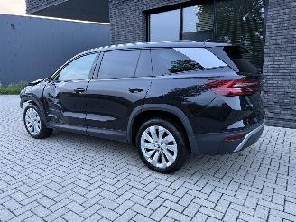 Skoda Kodiaq 1.5 TSI MHEV 150PK DSG7 Business Plus 7-Personen PANO! picture 11