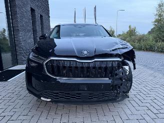 Skoda Kodiaq 1.5 TSI MHEV 150PK DSG7 Business Plus 7-Personen PANO! picture 17