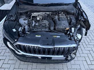 Skoda Kodiaq 1.5 TSI MHEV 150PK DSG7 Business Plus 7-Personen PANO! picture 42