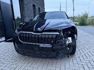 Skoda Kodiaq 1.5 TSI MHEV 150PK DSG7 Business Plus 7-Personen PANO! picture 16
