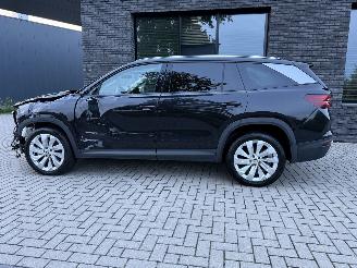 Skoda Kodiaq 1.5 TSI MHEV 150PK DSG7 Business Plus 7-Personen PANO! picture 12
