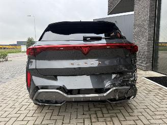 Cupra Terramar NEW! 2.0 TSI 4Drive 265PK DSG Performance picture 13