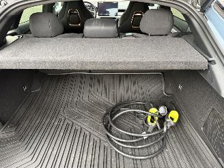 Zeekr  001 PERFORMANCE 100kWh AWD 545PS FULL OPTIONS! picture 39