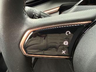 Zeekr  001 PERFORMANCE 100kWh AWD 545PS FULL OPTIONS! picture 36