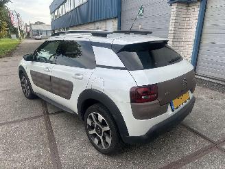 Citroën C4 cactus Camera!Navi! Riem v.v. picture 3