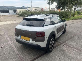 Citroën C4 cactus Camera!Navi! Riem v.v. picture 4