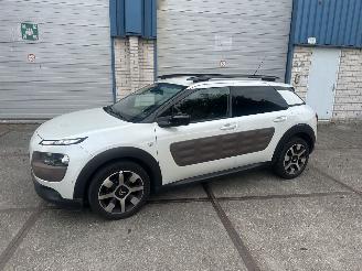 Citroën C4 cactus Camera!Navi! Riem v.v. picture 2