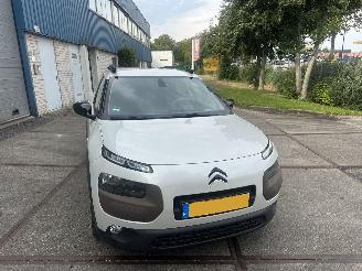 Citroën C4 cactus Camera!Navi! Riem v.v. picture 9