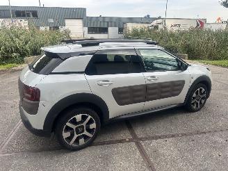 Citroën C4 cactus Camera!Navi! Riem v.v. picture 6