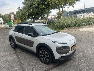 Citroën C4 cactus Camera!Navi! Riem v.v. picture 8