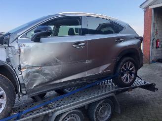 Lexus NX NX300 AWD picture 4