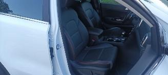 Kia Sportage 2.0-GT 185pk Diesel MHEV Automaat 4WD Leder JBL Dab audio Stoelverwarming Stoelventilatie Full-Led koplampenLed achterlichten Cruisecontrol Dimmende binnenspiegel Trekhaak CruiseControl 4xStoelverwarming Blindspot Systeem 360 Camerasysteem Elektrische ach picture 22
