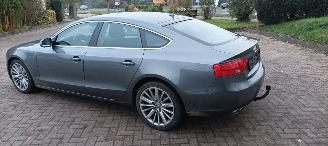 Audi A5 Sportback A5 2.0-TDI Automatik Navi Bi-xenon met Led Led-Achterlichten Trekhaak Parkeersensoren 18-inch Audi velgen Stoelverwarming Lichtautomaat Regensensor afneembare trekhaak picture 6