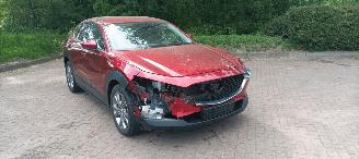 Mazda CX-30 1.8-Diesel Navi Leder Led-Koplampen Led-Achterlichten Elektrische achterklep Head up Display Bose-sound systeem Privacy glas Blindspot systeem picture 12