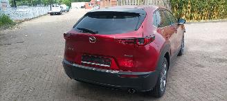 Mazda CX-30 1.8-Diesel Navi Leder Led-Koplampen Led-Achterlichten Elektrische achterklep Head up Display Bose-sound systeem Privacy glas Blindspot systeem picture 7