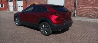 Mazda CX-30 Executive 1.8 Full-Led Leder Memory Navi Head-up Keyless entry Led-Achterlichten Achteruitrijcamera Elektrische achterklep Blindspot Drivelane picture 4