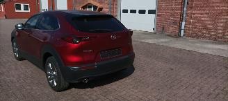 Mazda CX-30 Executive 1.8 Full-Led Leder Memory Navi Head-up Keyless entry Led-Achterlichten Achteruitrijcamera Elektrische achterklep Blindspot Drivelane picture 5