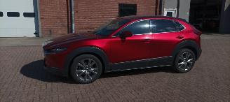 Mazda CX-30 Bj 8-2019 1.8 Climatecontrol Leder Navi Led-Koplampen Led-Achterlichten Stoelverwarming Lichtautomaat Privacyglas keyless Entry Bose Soundsystem elektrische achterklep picture 8