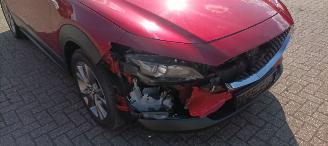Mazda  Cx-30 Executive-Line Navi Leder-memory Climatecontrol CruiseControl Stoelverwarming Lichtautomaat Privacyglas keyless Entry Blindspot Drivelane Achteruitrijcamera Elektrische achterklep Led koplampen led achterlichten 18-inch Velgen picture 14