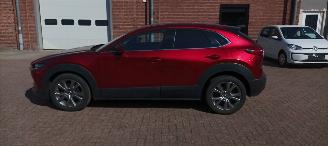 Mazda  Cx-30 Executive-Line Navi Leder-memory Climatecontrol CruiseControl Stoelverwarming Lichtautomaat Privacyglas keyless Entry Blindspot Drivelane Achteruitrijcamera Elektrische achterklep Led koplampen led achterlichten 18-inch Velgen picture 7