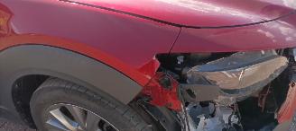 Mazda  Cx-30 Executive-Line Navi Leder-memory Climatecontrol CruiseControl Stoelverwarming Lichtautomaat Privacyglas keyless Entry Blindspot Drivelane Achteruitrijcamera Elektrische achterklep Led koplampen led achterlichten 18-inch Velgen picture 13