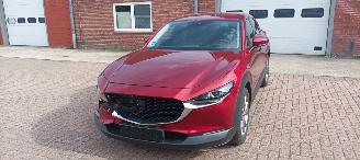 Mazda CX-30 Bj: 08-2019 1.8-Diesel Full-Led Leder Sportstoelen Memory Navi Dab Bose sound Keyless entry Blindspot Drivelane Privacy glas Elektrische achterklep Led verlichting Parkeersensoren voor en achter picture 9