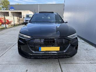 Audi E-tron 55 quatro Proline -PANO-LEDER-CAMERA-NAVI-408 PK picture 15
