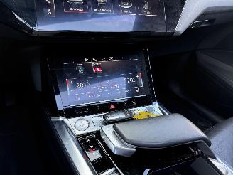 Audi E-tron 55 quatro Proline -PANO-LEDER-CAMERA-NAVI-408 PK picture 21