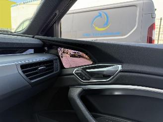 Audi E-tron 55 quatro Proline -PANO-LEDER-CAMERA-NAVI-408 PK picture 20