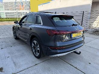 Audi E-tron 50 QUATTRO Launch edition plus 71 kWh PANO - NAVI - LEDER picture 4