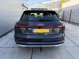 Audi E-tron 50 QUATTRO Launch edition plus 71 kWh PANO - NAVI - LEDER picture 8