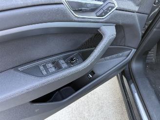 Audi E-tron 50 QUATTRO Launch edition plus 71 kWh PANO - NAVI - LEDER picture 16