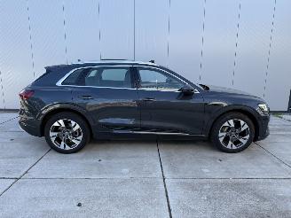 Audi E-tron 50 QUATTRO Launch edition plus 71 kWh PANO - NAVI - LEDER picture 7