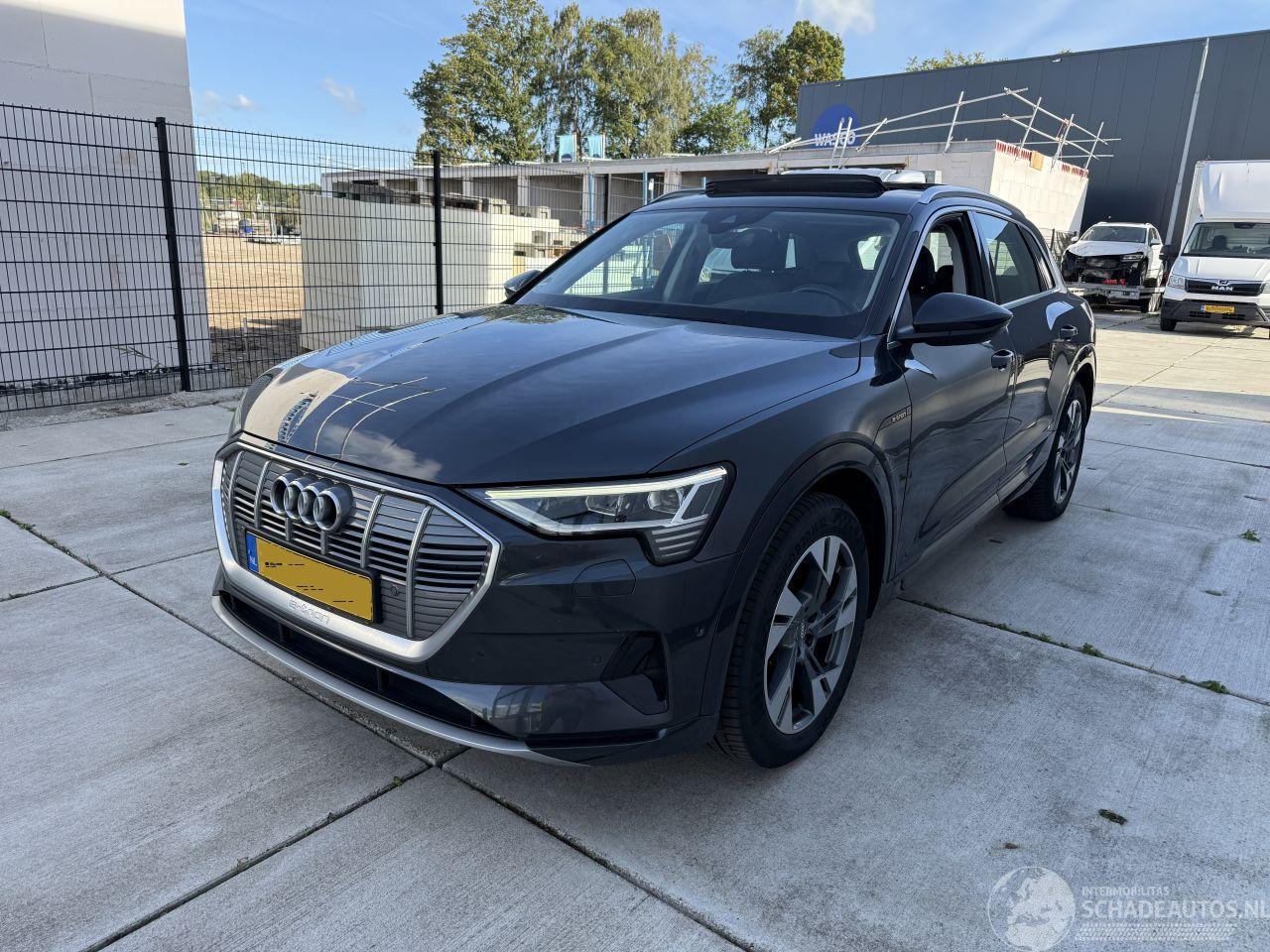Audi E-tron 50 QUATTRO Launch edition plus 71 kWh PANO - NAVI - LEDER