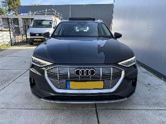 Audi E-tron 50 QUATTRO Launch edition plus 71 kWh PANO - NAVI - LEDER picture 14