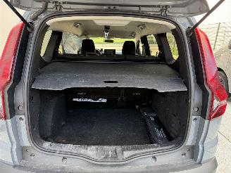 Dacia Jogger 1.0 TCe 110 Extreme 110 PK-CAMERA-NAVI-PDC picture 10