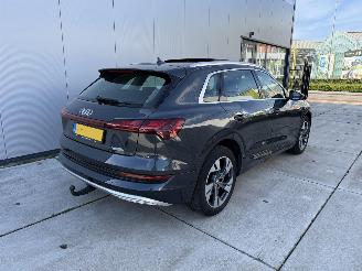 Audi E-tron 50 Quatro Launch Edition Plus 71 kWh PANO-LEDER-NAVI picture 5