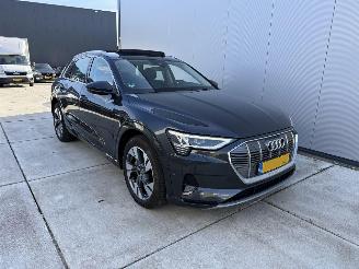 Audi E-tron 50 Quatro Launch Edition Plus 71 kWh PANO-LEDER-NAVI picture 2